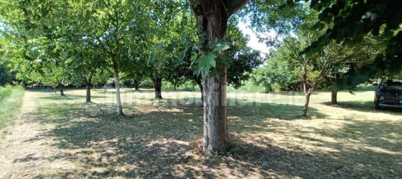 4 bedrooms House in Cologna Veneta, Italy No. 289547 13