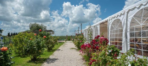 484m² Commercial property in Torrita di Siena, Italy No. 53542 26