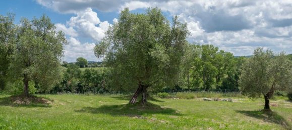 484m² Commercial property in Torrita di Siena, Italy No. 53542 62