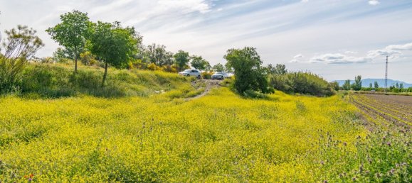 Terreno em Granada, Spain 14500 m² N.º 166668 21