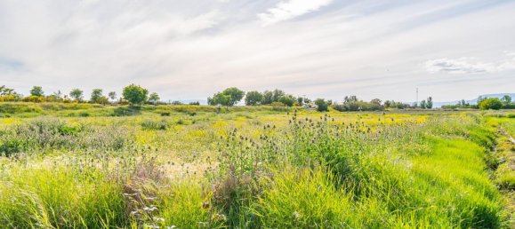 Terreno em Granada, Spain 14500 m² N.º 166668 33