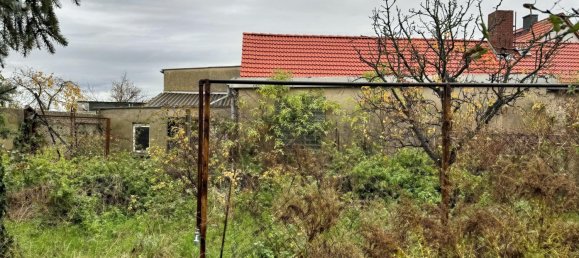 Adosado de 1 dormitorio en Groditz, Germany No. 32114 6