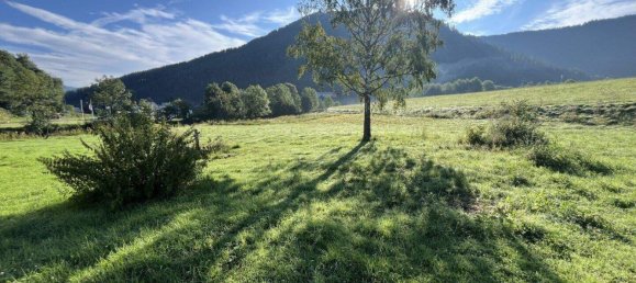 Коммерческая недвижимость в Мурау, Австрия № 207935 10