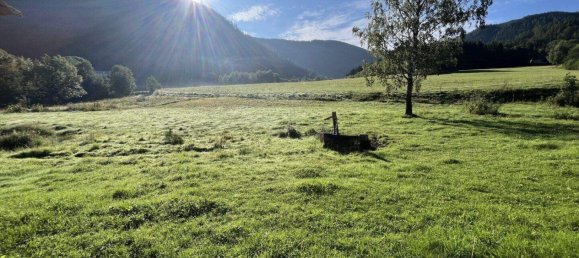 Коммерческая недвижимость в Мурау, Австрия № 207935 9
