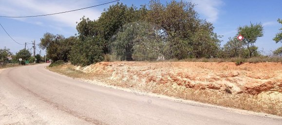 Дом с 4 спальнями в Пешан, Португалия № 22136 9