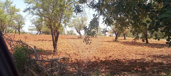 Дом с 4 спальнями в Пешан, Португалия № 22136 12