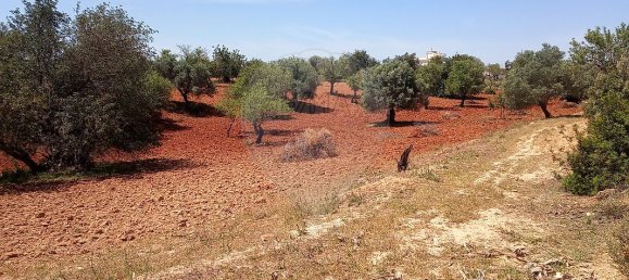 Дом с 4 спальнями в Пешан, Португалия № 22136 2