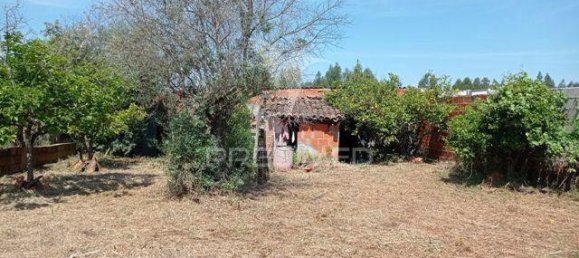 2 غرف نوم منزل في Alter do Chao, Portugal رقم 100765 15