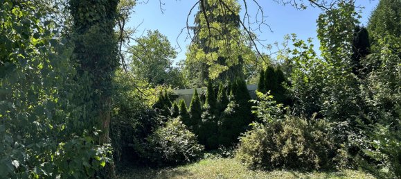 4 غرف نوم بناية في Kaiserslautern, Germany رقم 311063 7