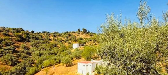 1 bedroom House in Riogordo, Spain No. 151888 11