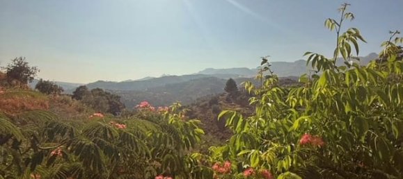 1 bedroom House in Riogordo, Spain No. 151888 21