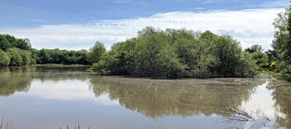 Terreno en Nouan-le-Fuzelier, France 474003 m² No. 38641 2