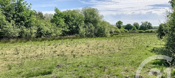 Terreno en Nouan-le-Fuzelier, France 474003 m² No. 38641 6