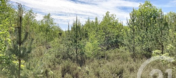 Terreno en Nouan-le-Fuzelier, France 474003 m² No. 38641 4