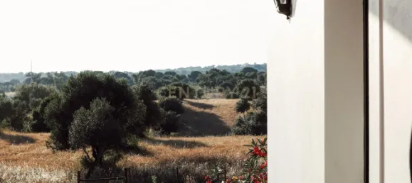 4 غرف نوم منزل في Brotas, Portugal رقم 125693 19