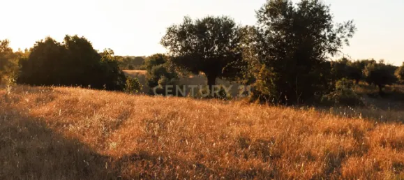 4 غرف نوم منزل في Brotas, Portugal رقم 125693 24