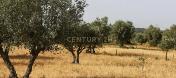 4 غرف نوم منزل في Brotas, Portugal رقم 125693 26