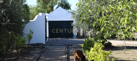 4 غرف نوم منزل في Brotas, Portugal رقم 125693 27