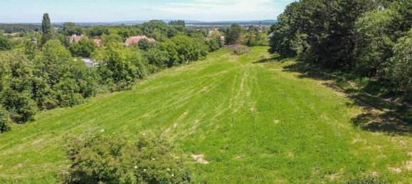  قطعة أرض في St. Egyden am Steinfeld, Austria رقم 197975 5