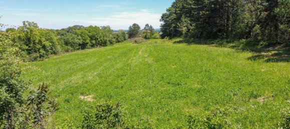  قطعة أرض في St. Egyden am Steinfeld, Austria رقم 197975 2
