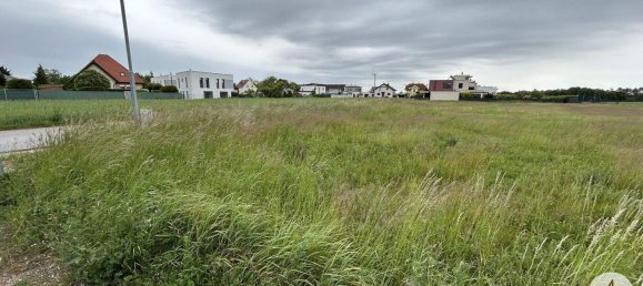  Land in Gerasdorf bei Wien, Austria No. 163073 2