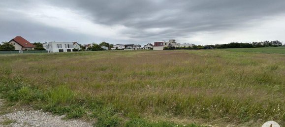  Land in Gerasdorf bei Wien, Austria No. 163073 4