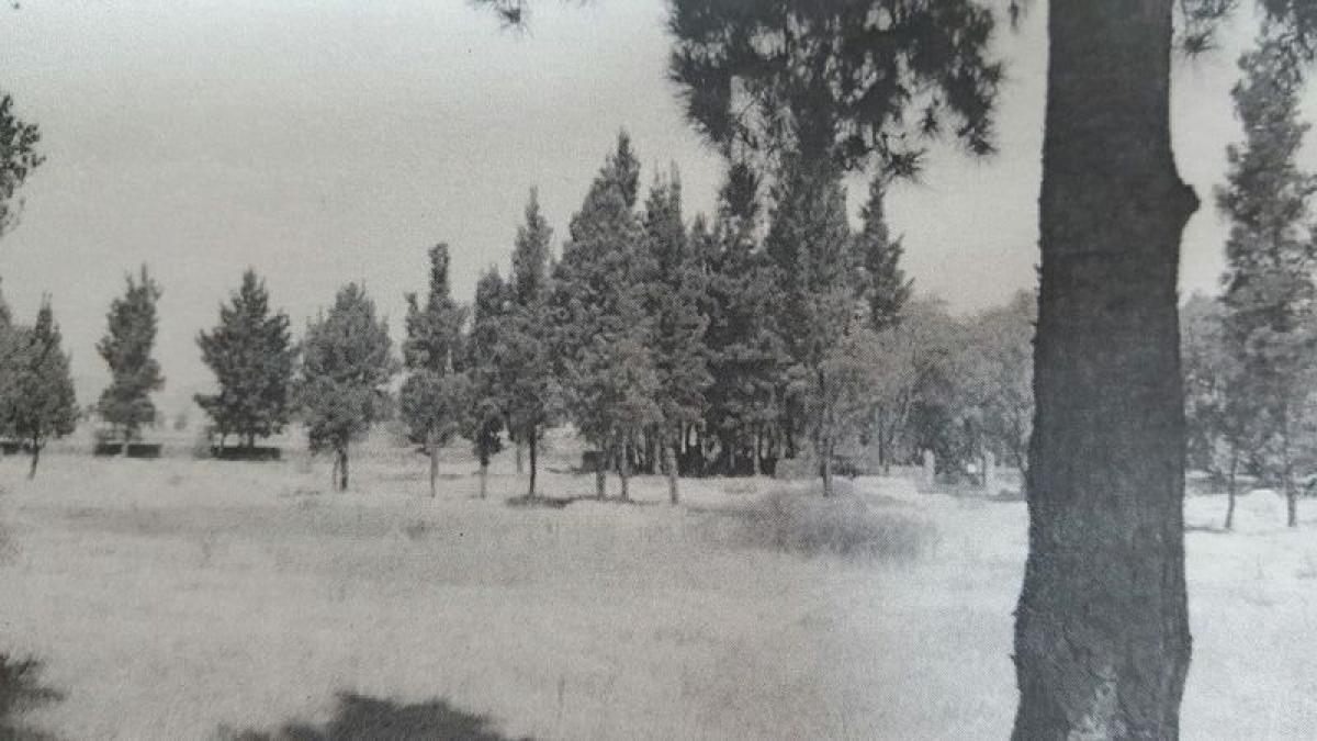  Land in Zinacantepec, Mexico No. 203974