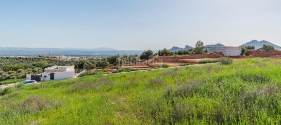 608m² Land in Albolote, Spain No. 175744 11