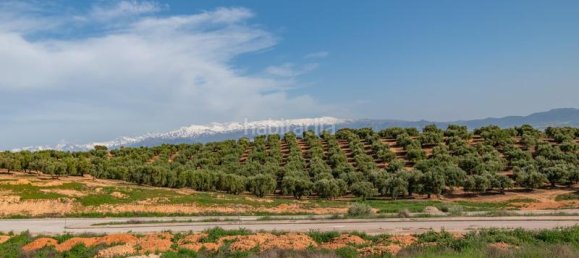 608m² Land in Albolote, Spain No. 175744 12