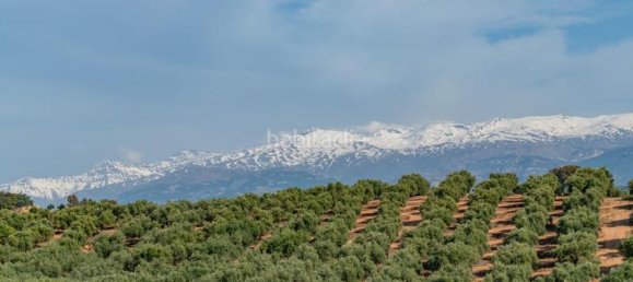 608m² Land in Albolote, Spain No. 175744 13