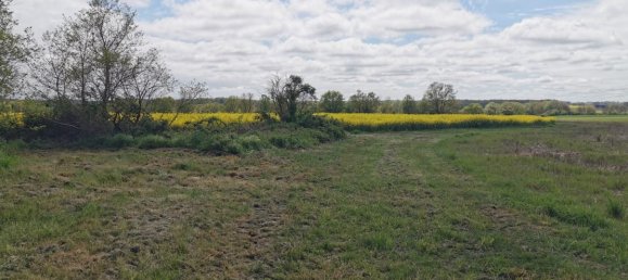 4 chambres Maison à Chabris, France No. 214386 6