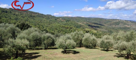 13 rooms House in Montevarchi, Italy No. 232675 17