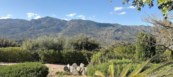 3 chambres Villa à Porto-Vecchio, France No. 226782 4