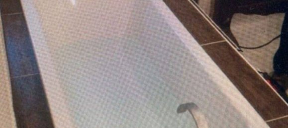 3 bedrooms Townhouse in Mansfeld-Sudharz, Germany No. 358546 4