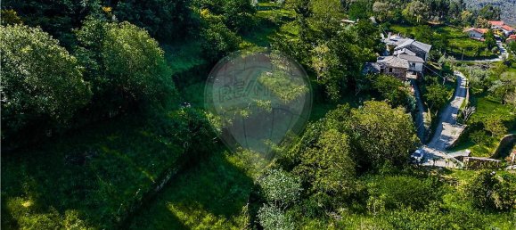 3 Schlafzimmer Haus in Castro Daire, Portugal, Nr. 17741 3