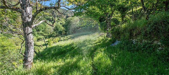 3 Schlafzimmer Haus in Castro Daire, Portugal, Nr. 17741 39