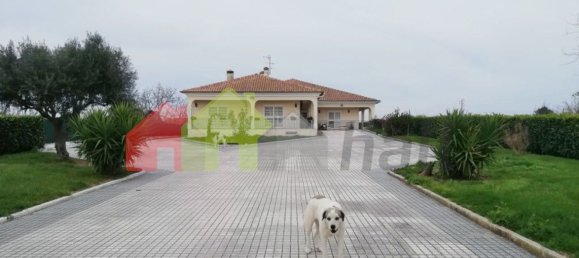 5 chambres Maison à Palmela, Portugal No. 71091 21