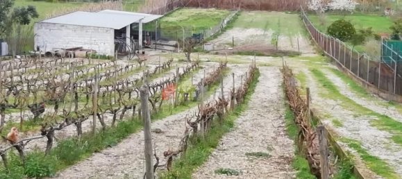 5 chambres Maison à Palmela, Portugal No. 71091 20