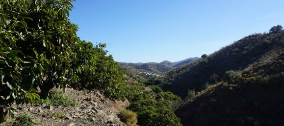 3 chambres Maison à Vinuela, Spain No. 128502 41