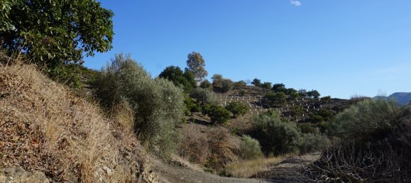 3 chambres Maison à Vinuela, Spain No. 128502 4