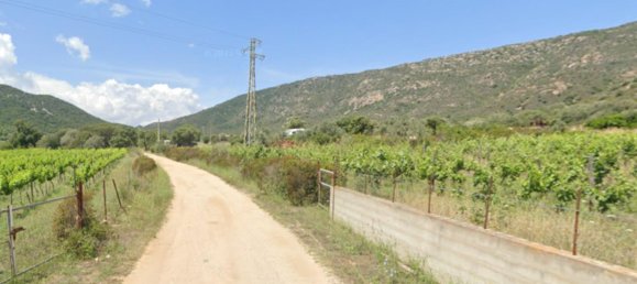 1غرفة قطعة أرض في San Teodoro, Italy رقم 162838 6