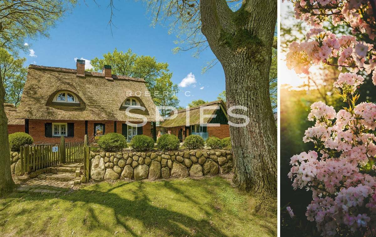 6-salle Maison à Verden, Germany No. 331697