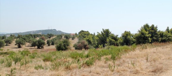 12000m² Hotel in Chalkidiki, Greece No. 8084 2