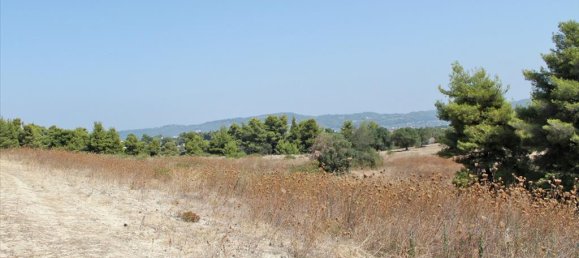 12000m² Hotel in Chalkidiki, Greece No. 8084 3