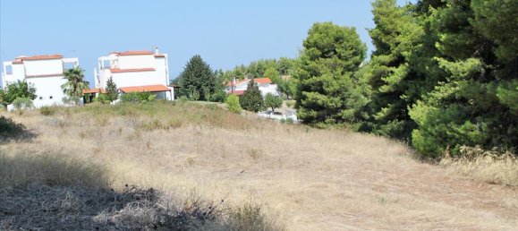 12000m² Hotel in Chalkidiki, Greece No. 8084 4