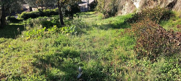 4 Schlafzimmer Haus in Aveloso, Portugal, Nr. 30456 27