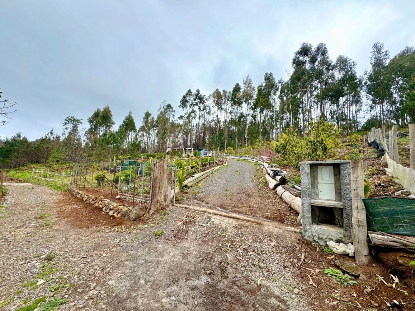  Land in Ponta do Sol, Portugal No. 196709
