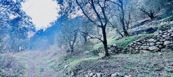 4500m² Land in Arco, Italy No. 89542 15