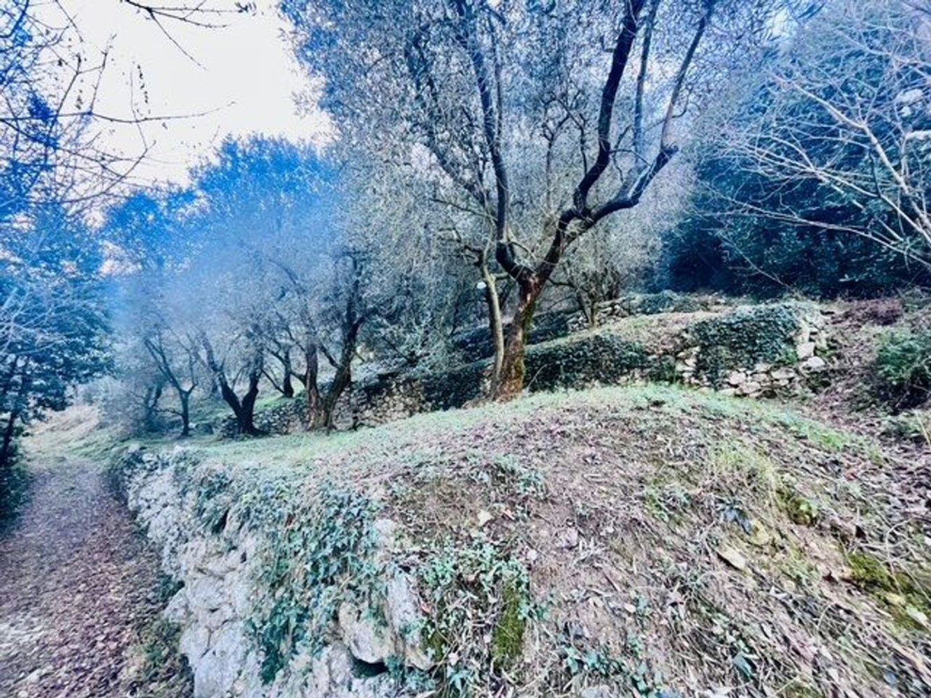 4500m² Land in Arco, Italy No. 89542