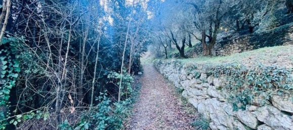 4500m² Land in Arco, Italy No. 89542 16